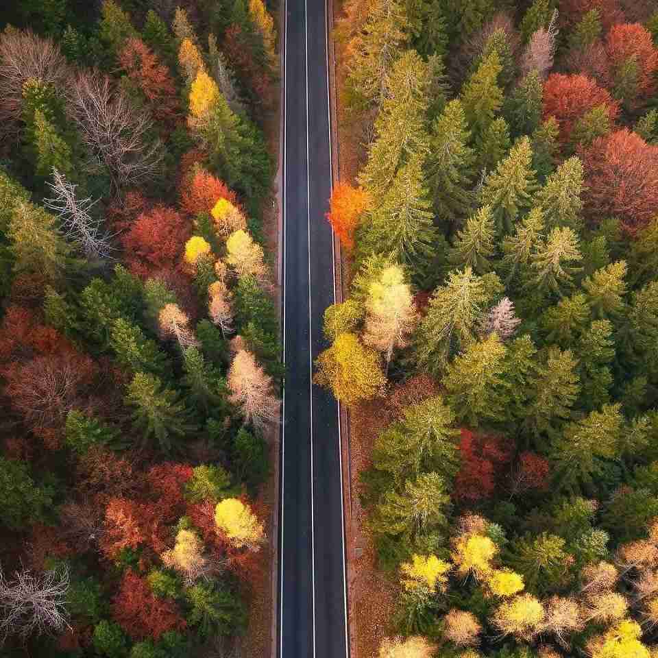 آهنگ جدید  من دیگه عوض نمیشم صداهای تو سرمم